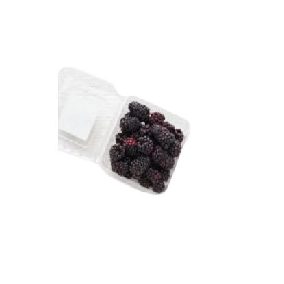 Picture of Blackberries, Mexico 170gm