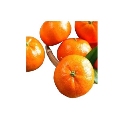 Picture of Mandarin Tango South Africa