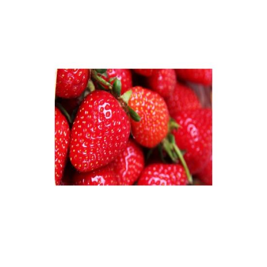 Picture of Strawberries, South Africa 250gm
