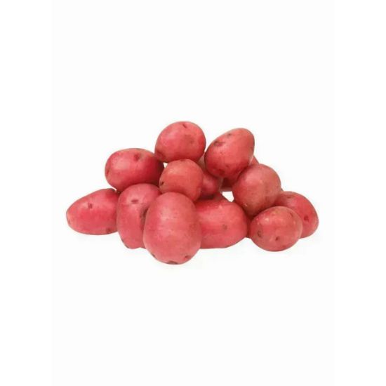 Picture of Potato Red Pakistan