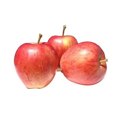 Picture of Apple Royalgala New Zealand