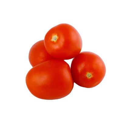 Picture of Tomato Plum Holland