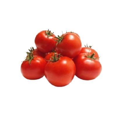 Picture of Greenhouse Tomato Iran