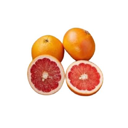 Picture of Grapefruit, South Africa