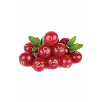 Picture of Cranberry Usa 1pc