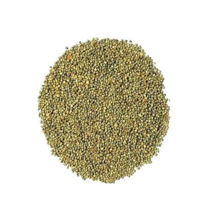 Picture of Daily Fresh Bajra Whole 1kg