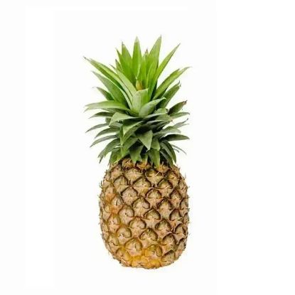 Picture of Pineapple Baby Phillipines 1 Piece
