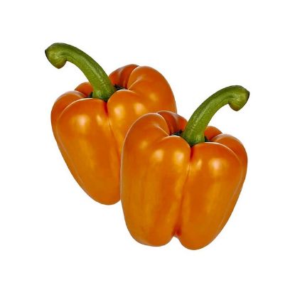 Picture of Orange Capsicum Netherlands