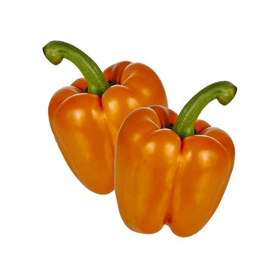 Picture of Orange Capsicum Netherlands