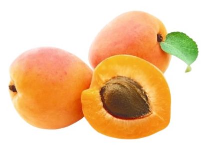 Picture of Apricot Turkey